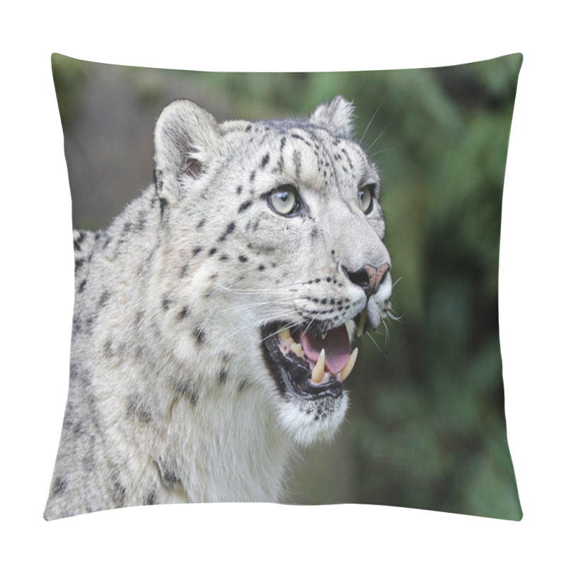 Personality  Adult Snow Leopard Close-up Pillow Covers