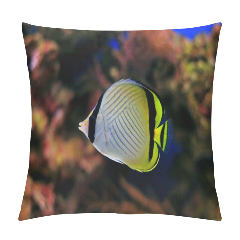 Personality  Vagabond Butterfly Fish (Chaetodon Vagabundus) Pillow Covers