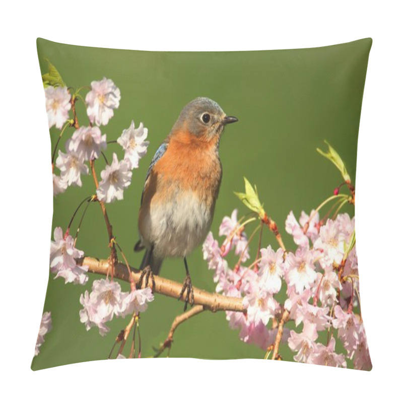 Personality  Eastern Bluebird Pillow Covers