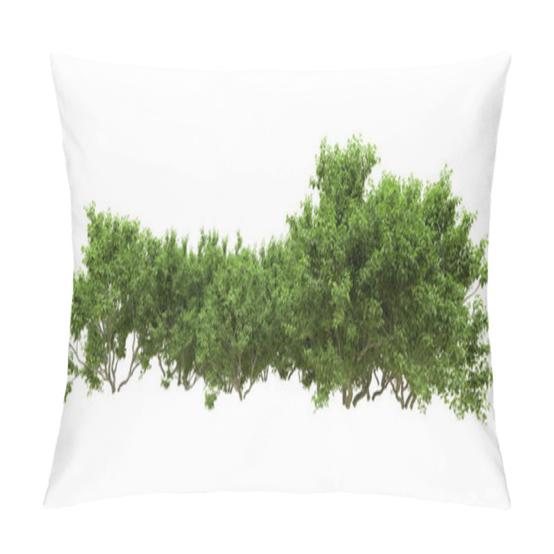 Personality  Green Forest Isolated. Useful For Banners And Posters. 3d Rendering. Pillow Covers