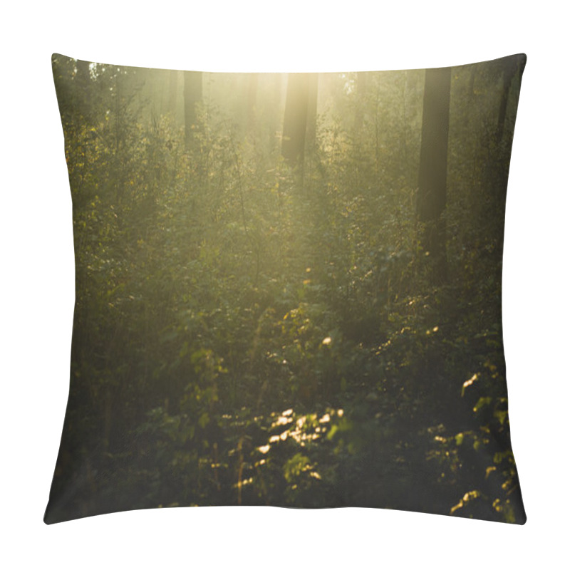 Personality  Autumn Forest Pillow Covers