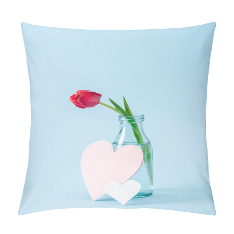 Personality  Red Tulip In Transparent Glass Vase And Paper Hearts On Blue Background Pillow Covers