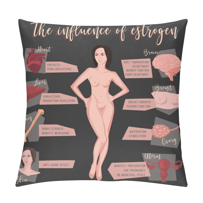 Personality  Estrogen Influence Infographic Pillow Covers