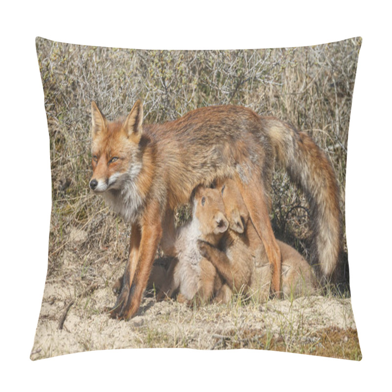 Personality  Fox Cubs Suckling At Mother Fox Pillow Covers