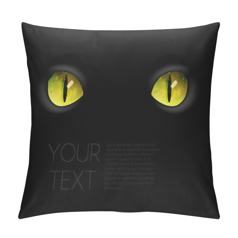 Personality  Animal Eyes, Black Background. Pillow Covers