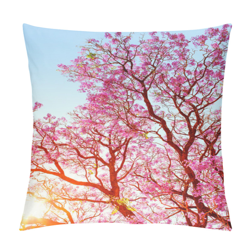 Personality  Sunrise Through Jakaranda Tree Pillow Covers