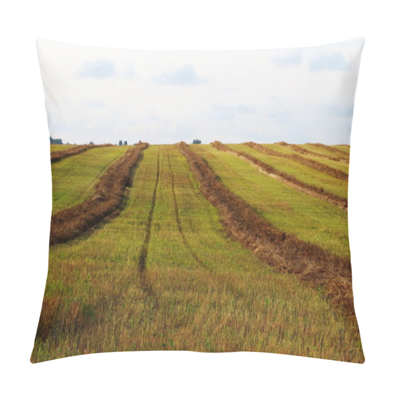 Personality  Nature Altaya Pillow Covers