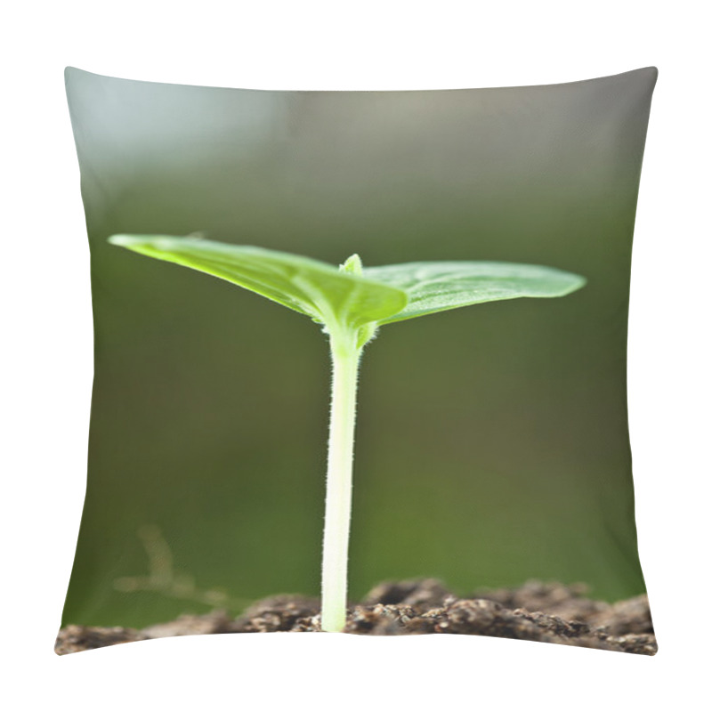 Personality  Green Seedling In A Soil Pillow Covers