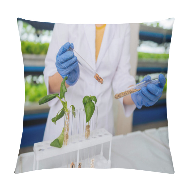 Personality  Close Up Of Agronomist Holding Test Tubes With Seeds Pillow Covers