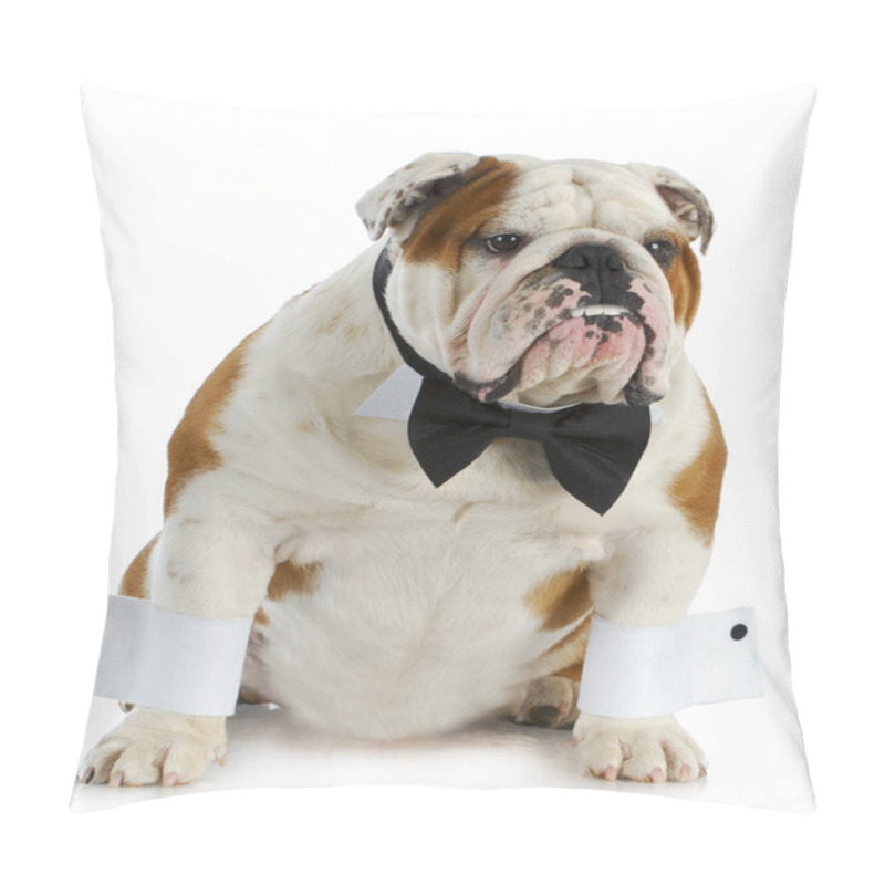 Personality  Handsome Dog Pillow Covers