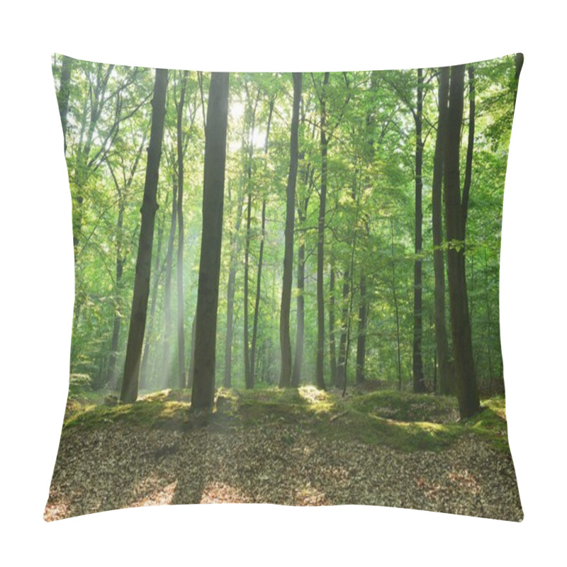 Personality  Autumn Morning In The Forest Pillow Covers