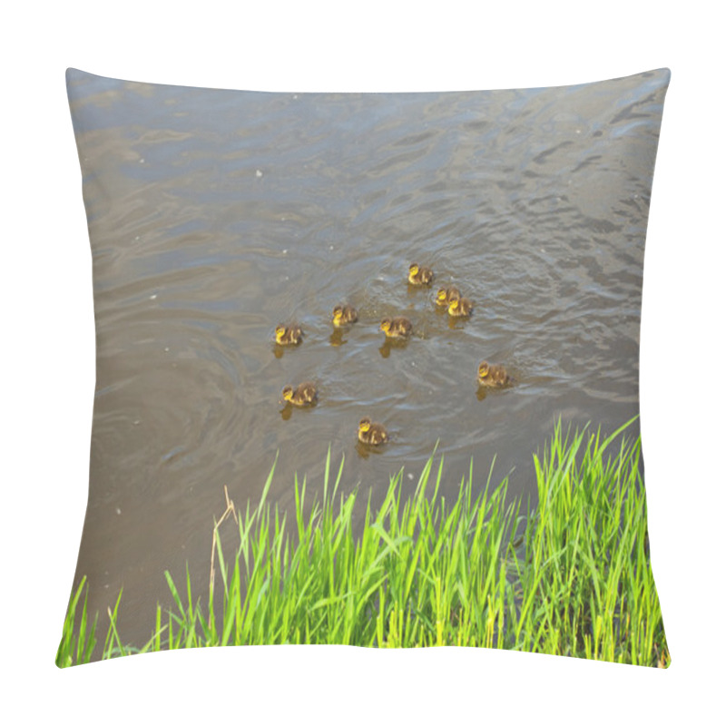 Personality  Duck With Ducklings Swimming In The Water Pillow Covers