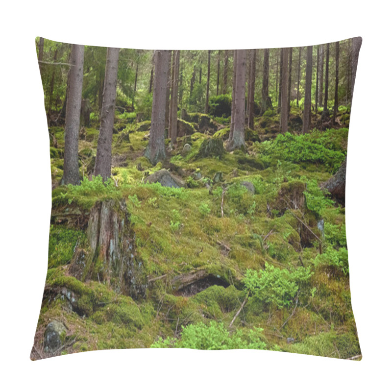 Personality  The Primeval Forest With Mossed Ground-HDR Pillow Covers