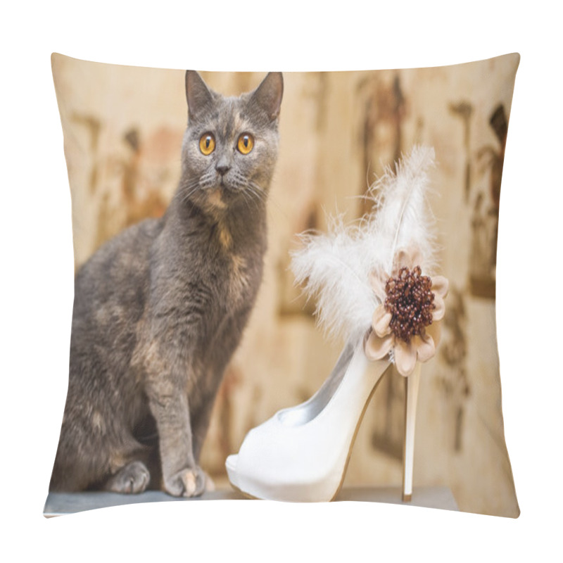 Personality  Cat And The Bride Shoes With Feathers Pillow Covers