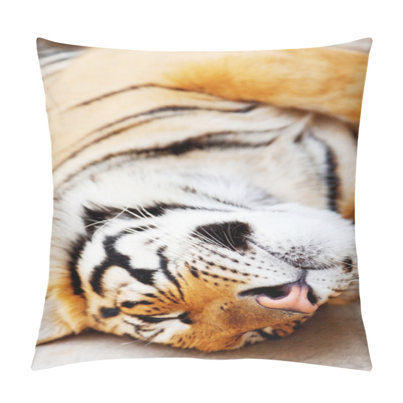 Personality  Sleeping Tiger Close Up Pillow Covers