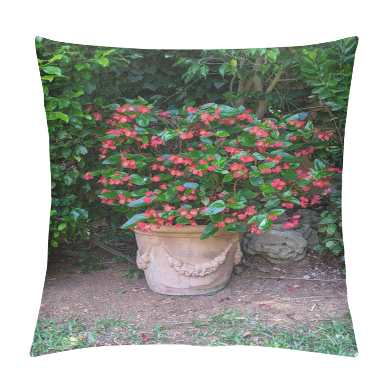 Personality  Red Begonias Planted In A Pot In The Garden Pillow Covers