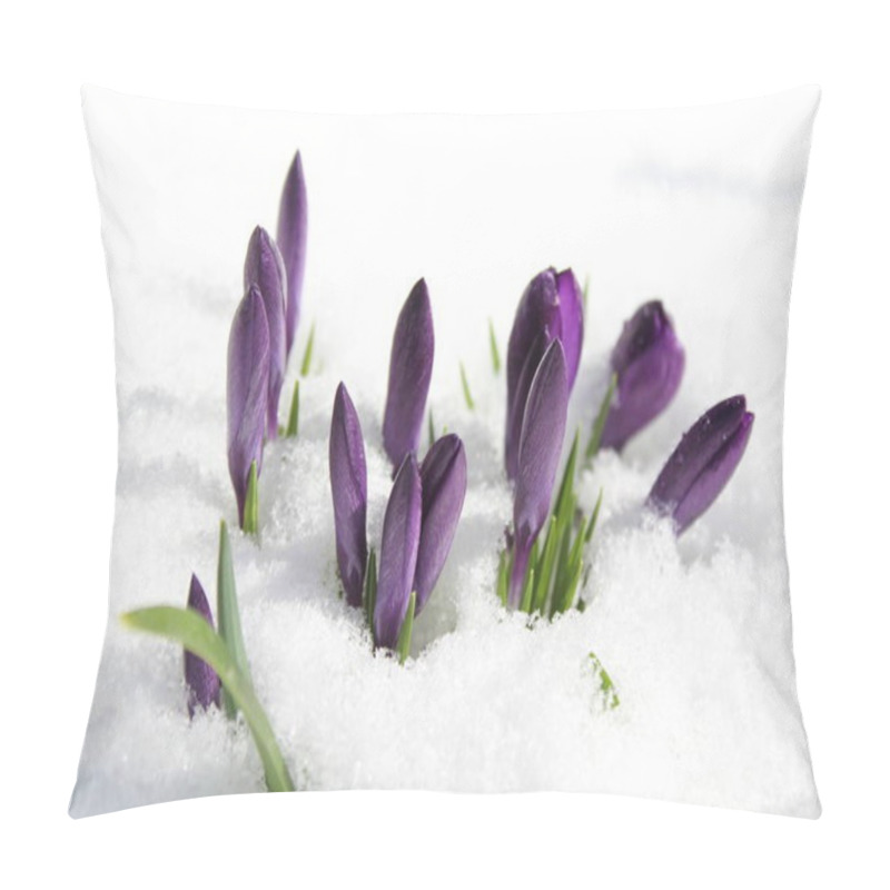 Personality  Crocus In The Snow Pillow Covers