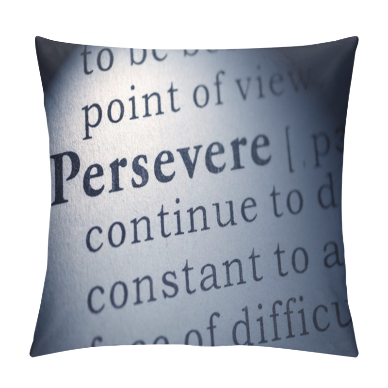 Personality  Persevere Pillow Covers