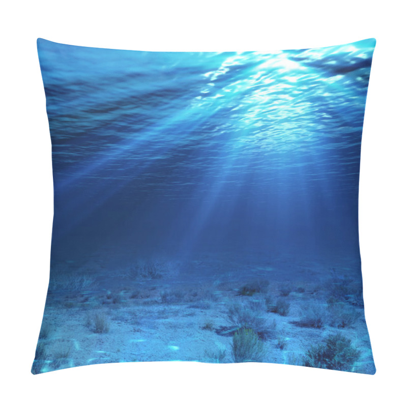 Personality  Underwater Landscape And Backdrop With Algae Pillow Covers