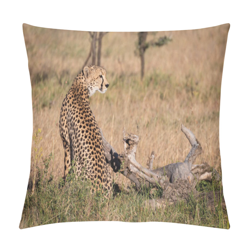 Personality  Cheetah Sits Beside Dead Log In Grass Pillow Covers