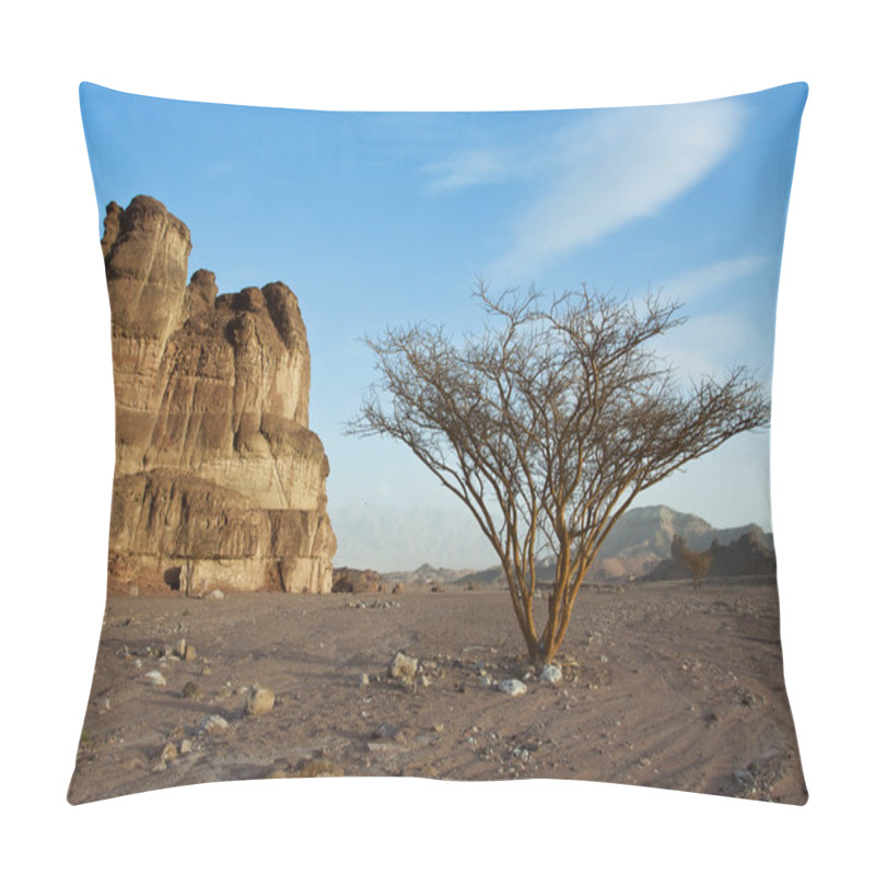 Personality  Desert Landscape. Pillow Covers