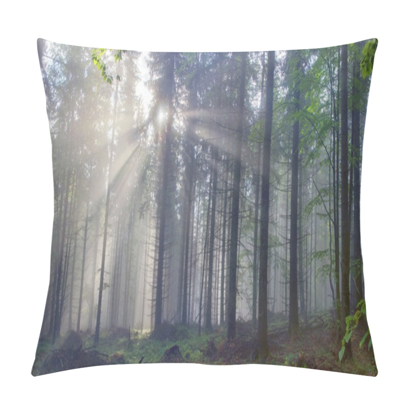 Personality  Magic Carpathian Forest At Dawn Pillow Covers