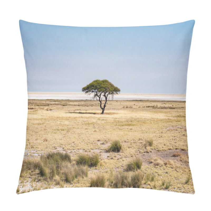 Personality  Landscape Of The Pan Of The Etosha National Park Pillow Covers