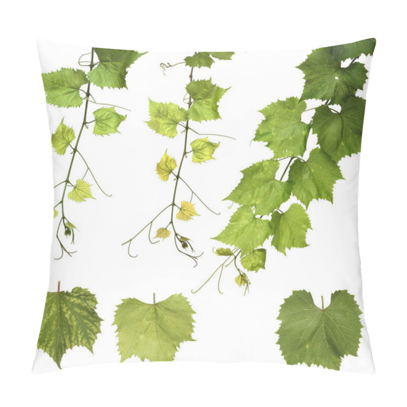 Personality  Green Grape Leaves Pillow Covers