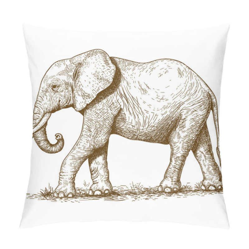 Personality  Vector Illustration Of Engraving Elephant Pillow Covers