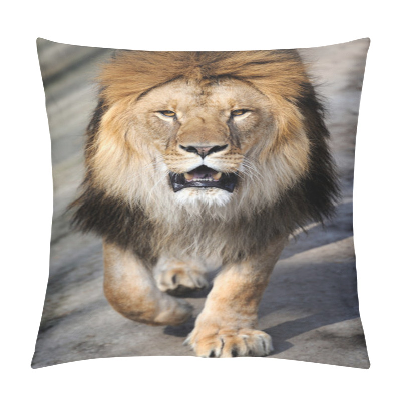 Personality  Close-up Lion Pillow Covers