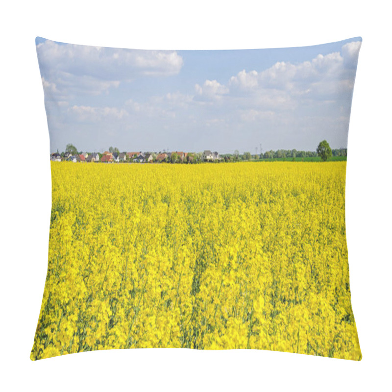 Personality  Rapeseed Field And Village Stolpe In Brandenburg Pillow Covers