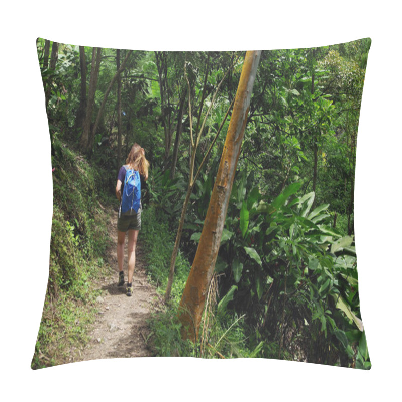 Personality  Path To Marinca Waterfall, Minca, Colombia, South America Pillow Covers