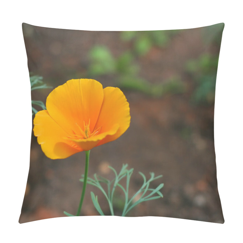 Personality  California Poppy Pillow Covers