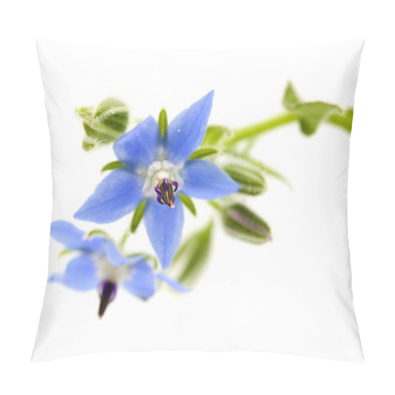 Personality  Blue Flowers Of Borage Isolated On White Background Pillow Covers