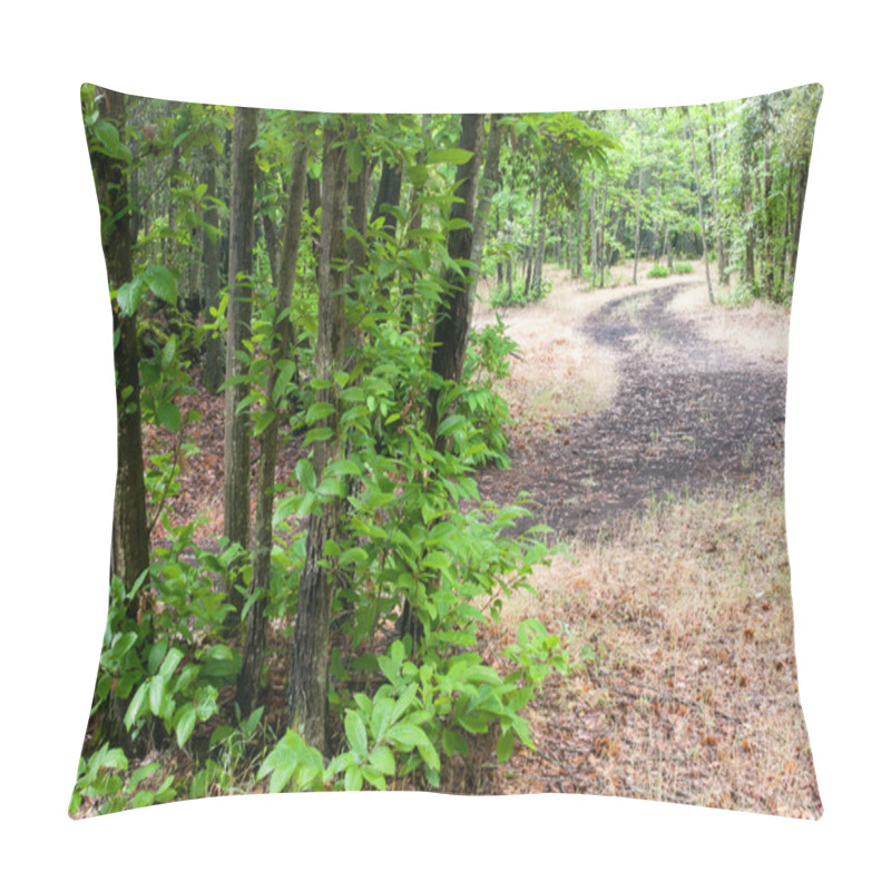 Personality  Pathway In The Forest Pillow Covers