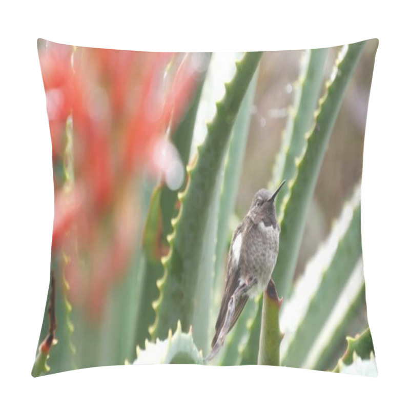 Personality  Small Tiny Bird And Aloe Red Flower Bloom, Succulent Cactus Inflorescence, Exotic Blossom. California Flora And Fauna, USA Plants And Animals. Botanical Floral Background. Wet Leaves In Rain Dew Drops Pillow Covers