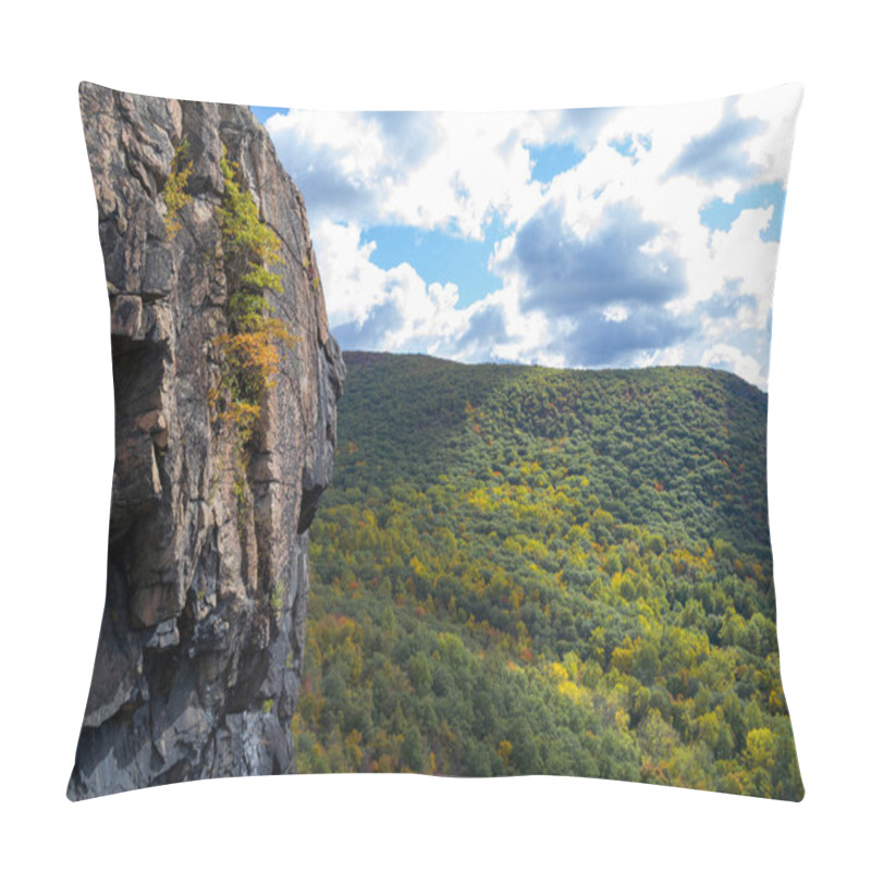 Personality  Picture Taken During A Hike From Breakneck Ridge To Cold Spring During The Fall Season (NY) Pillow Covers