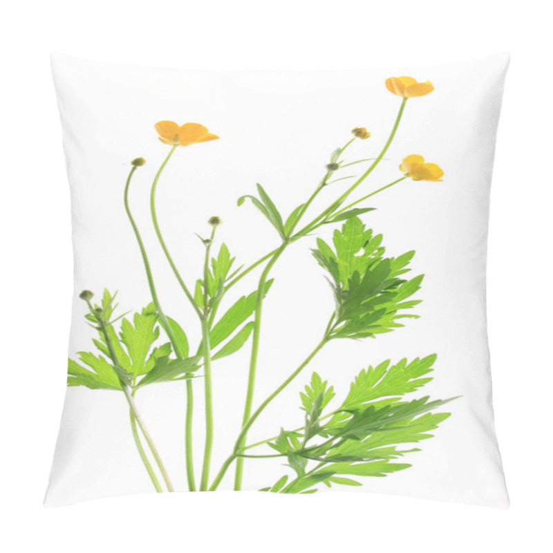 Personality  Buttercup (Ranunculus Acris) Pillow Covers