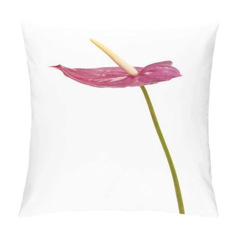 Personality  Dull Magenta Anthurium Pillow Covers