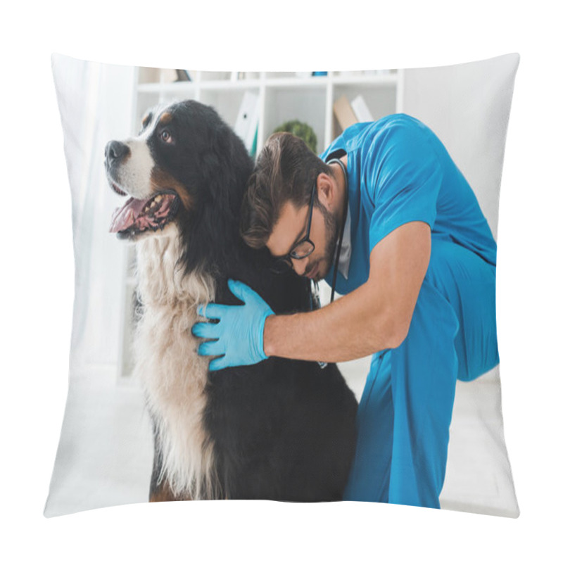 Personality  Young, Attentive Veterinarian Examining Cute Bernese Mountain Dog  Pillow Covers