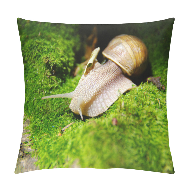 Personality  Snail Pillow Covers