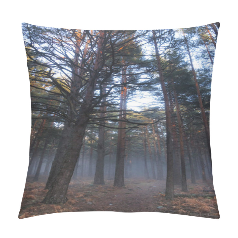 Personality  Fog In The Forest Floor Pillow Covers