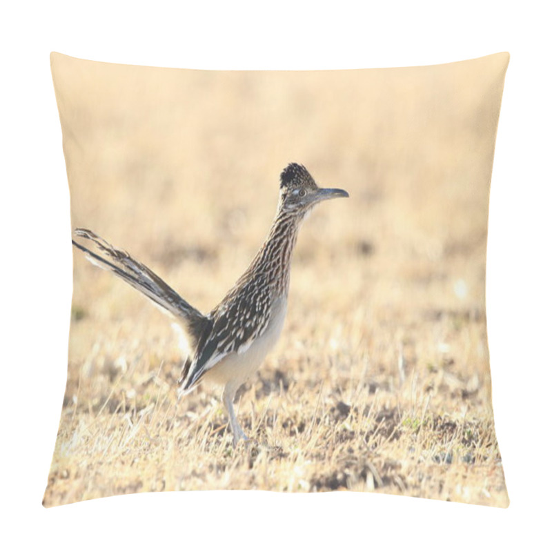 Personality  Roadrunner Bosque Del Apache Wildlife Refuge In New Mexico. Pillow Covers