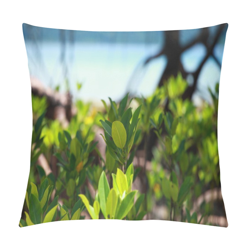 Personality  Mangrove Tree In Havelock Island In Andamans, India. Pillow Covers