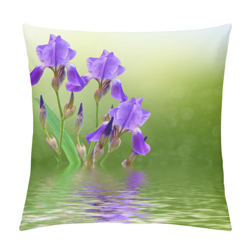 Personality  Spring Landscape. Blue Beautiful Garden Flowers Irises Pillow Covers