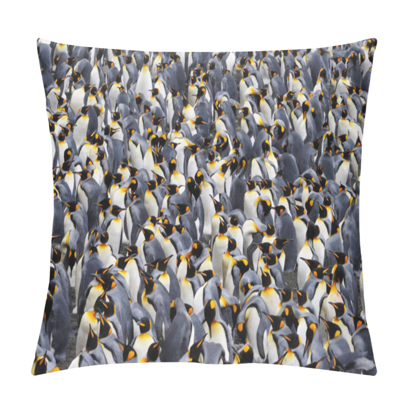 Personality  King Penguin Pillow Covers