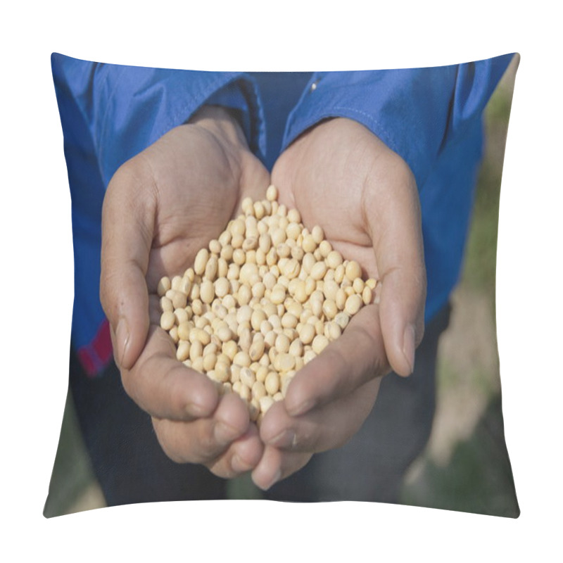 Personality  Handful Of Soybeans, India. Pillow Covers