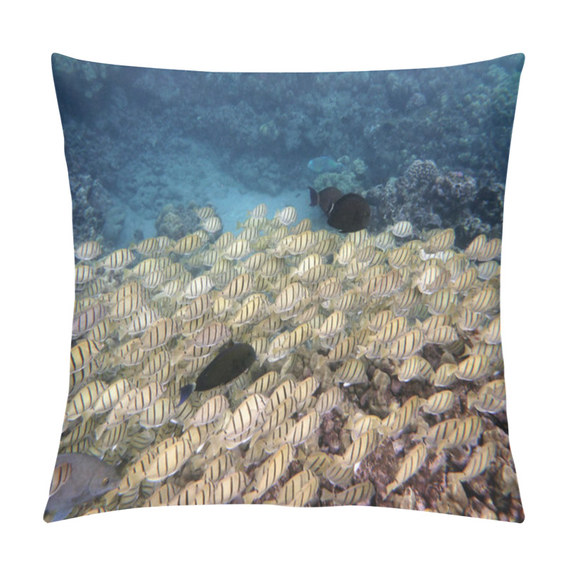 Personality  Various Fish Sneaking Along With A School Of Yellow Tang Fish Pillow Covers