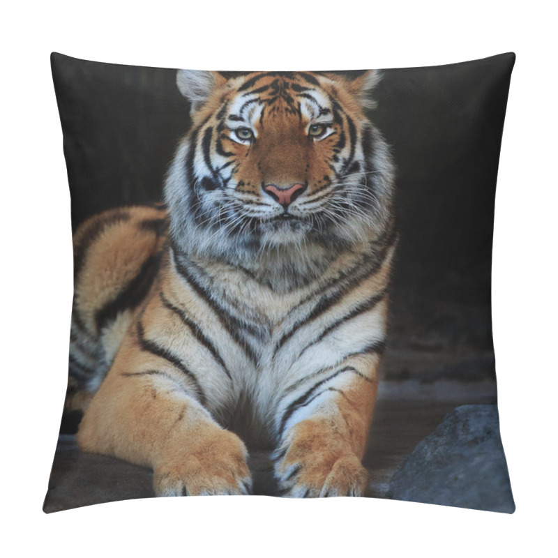 Personality  Tiger Pillow Covers