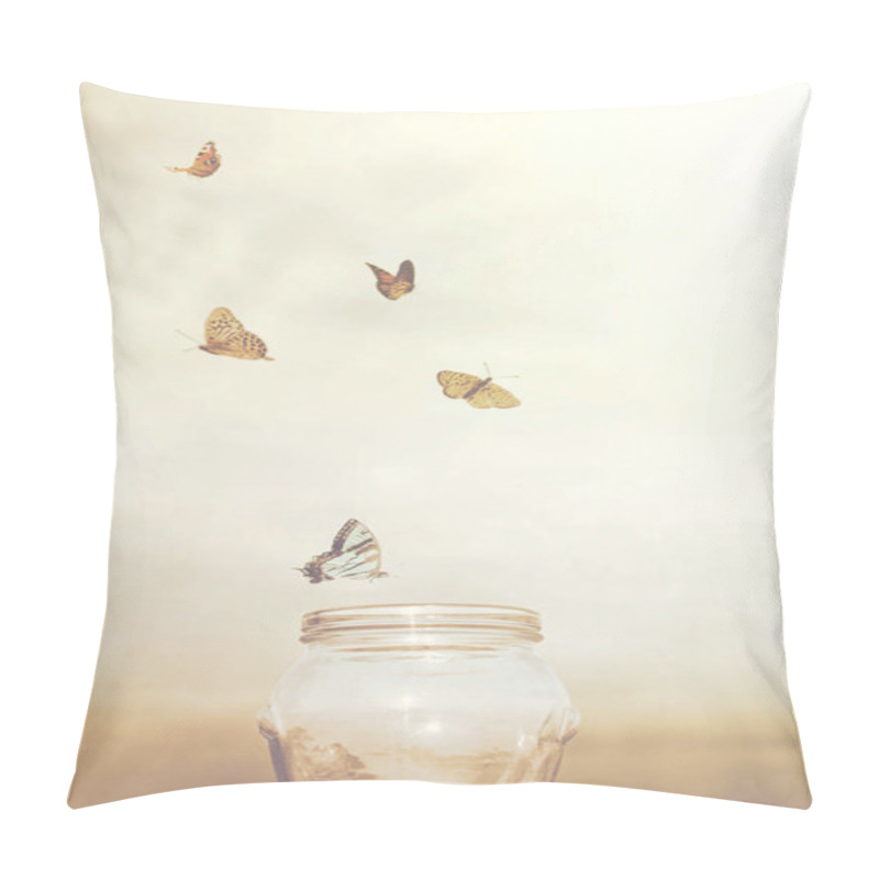 Personality  Freedom And Dreamy Concepts For A Group Of Prisoners Butterflies In A Vase Pillow Covers